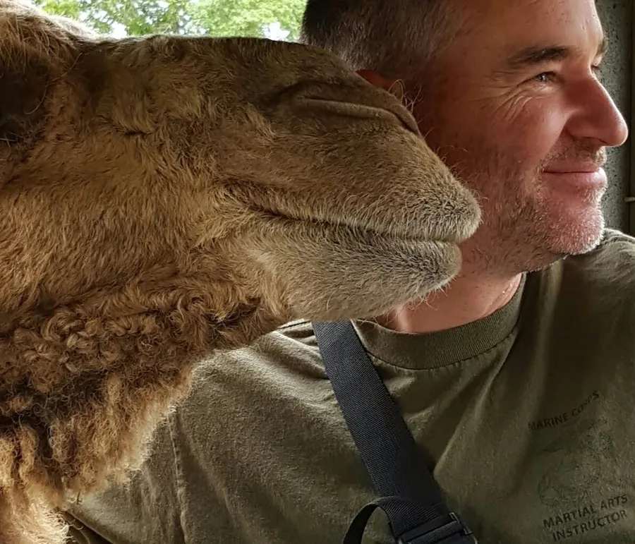 Face to face with a camel he decided was his twin