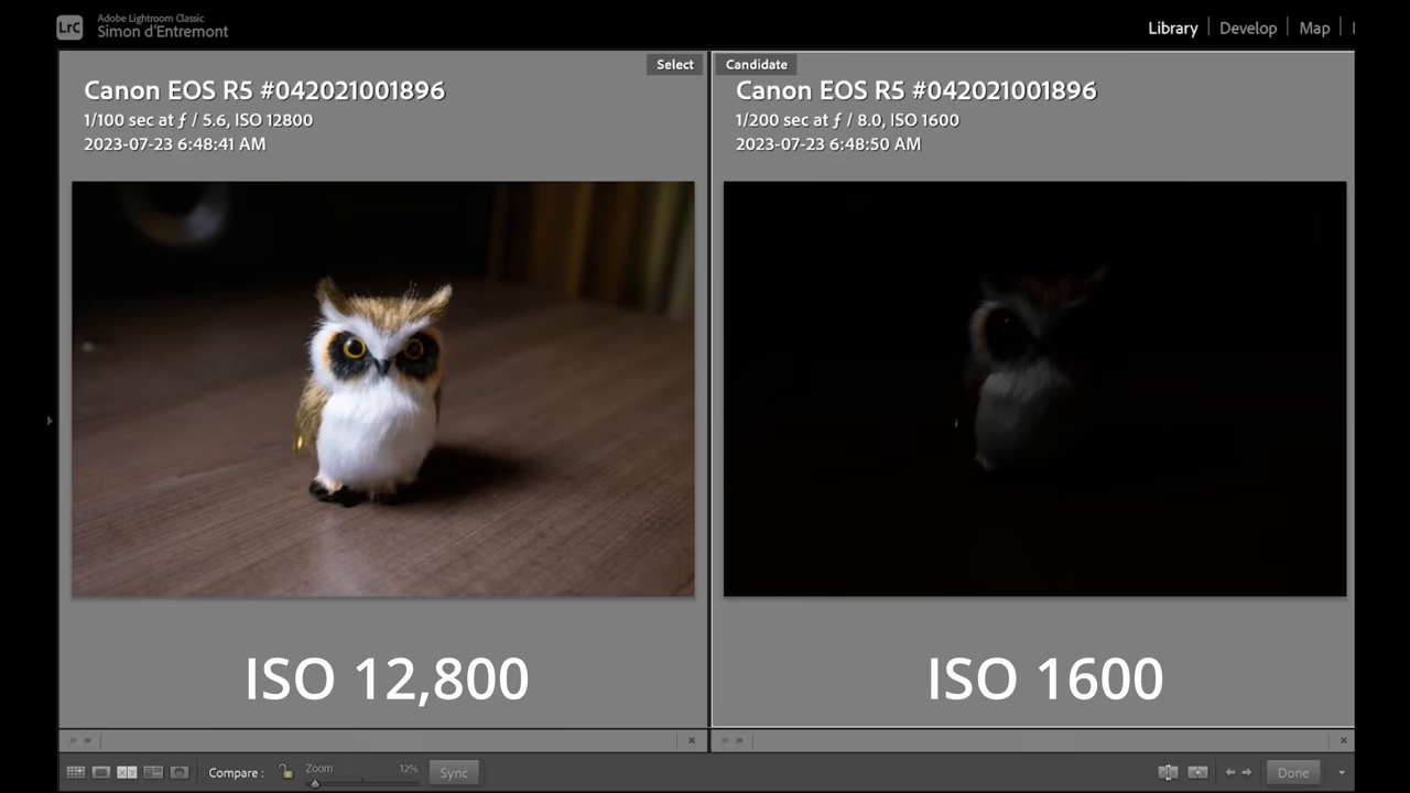 Split-screen shows owl comparison