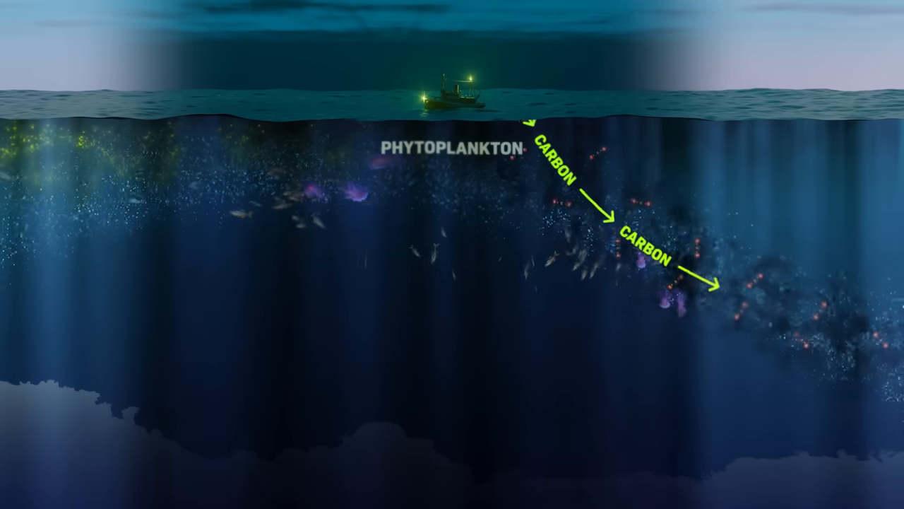 [04:45] An animated cross-section of the ocean showing arrows labeled "CARBON" moving downwards from surface phytoplankton, illustrating the carbon cycle.