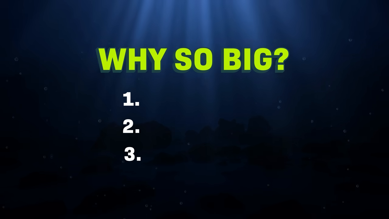 [07:40] An on-screen bulleted list titled "WHY SO BIG?" with points "1. EFFICIENCY", "2. ISOLATION", and "3. COLD" appearing sequentially.