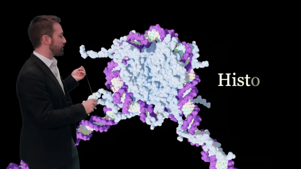 [00:40] A detailed 3D molecular model showing the purple and white DNA strand tightly wrapped around a cluster of proteins, with the  "Histones" on screen.