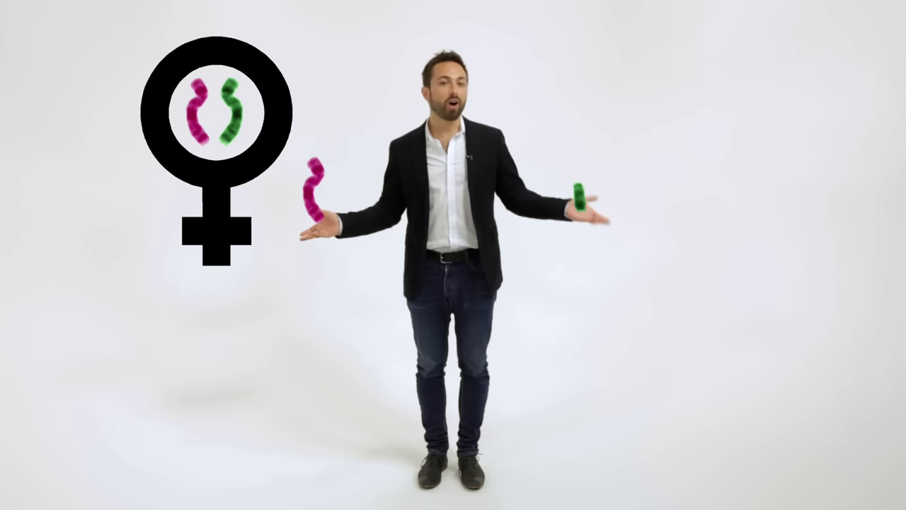[01:03] A graphical explanation of sex chromosomes showing standard male and female gender symbols alongside the green and purple animated chromosomes representing XX and XY.