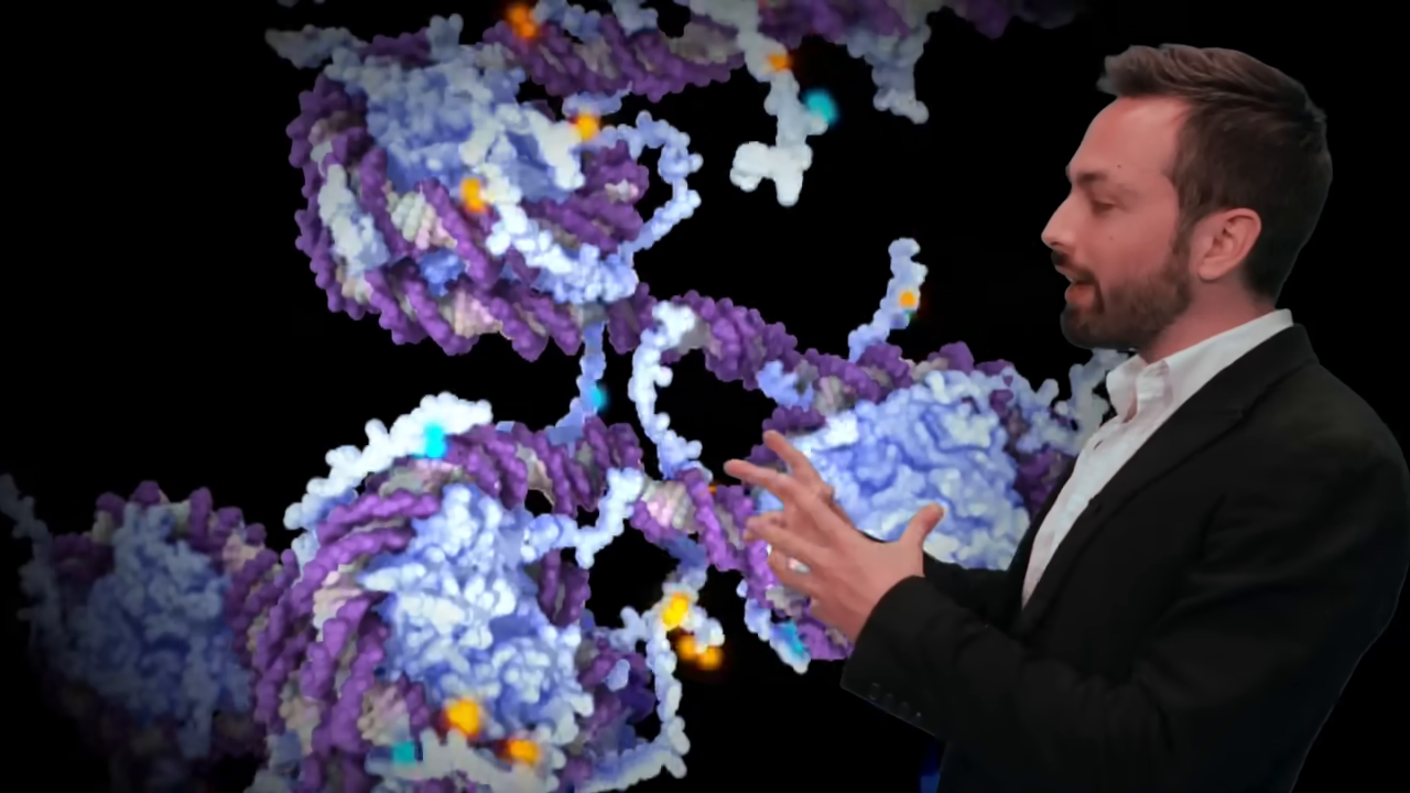 [01:40] A complex 3D molecular animation demonstrating epigenetic packing, showing coiled DNA, structural proteins, and tiny orange methyl groups attaching to the structure.