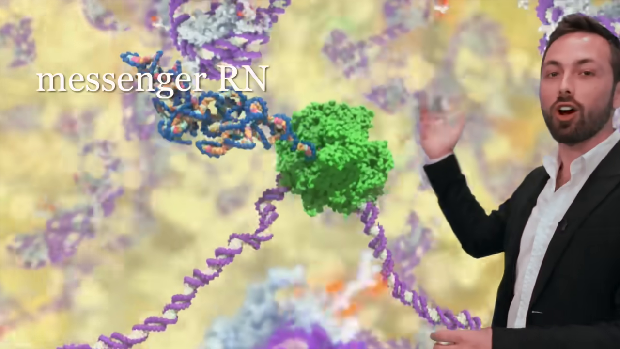 [02:43] A green RNA polymerase enzyme is shown moving along the DNA strand, actively transcribing it into a new yellow and blue strand, with the  "messenger RNA" on screen.
